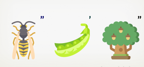 1748003081491.png