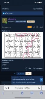 IMG_1949.jpeg