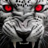 RashfoR